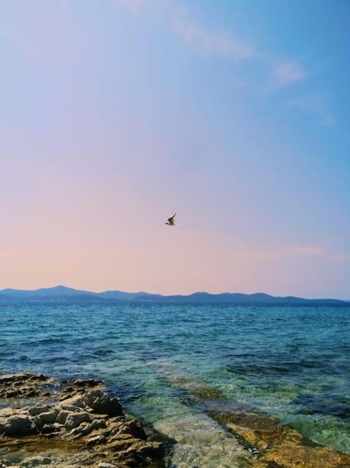 Dalmatia Rustica Comfortable One Bedroom+Fireplace ザダル エクステリア 写真