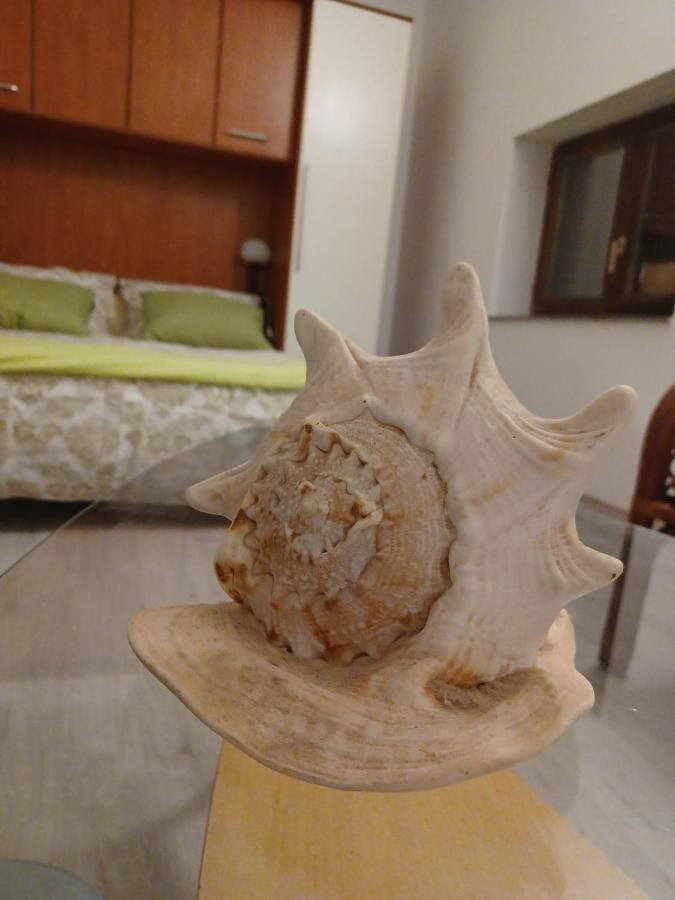 Dalmatia Rustica Comfortable One Bedroom+Fireplace ザダル エクステリア 写真